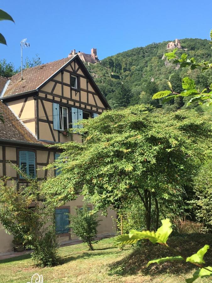 Le Gite Du Moulin Ribeauville  Exterior photo
